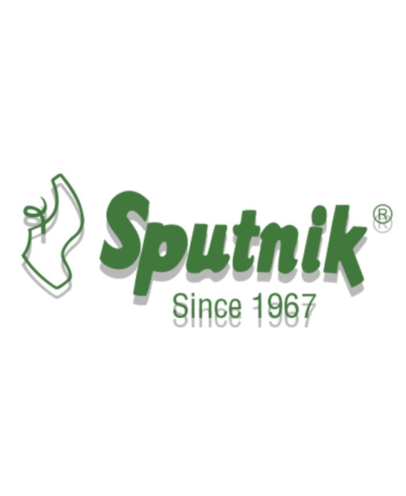 Sputnik